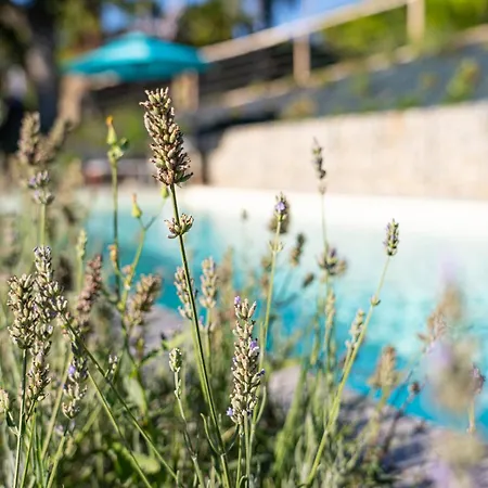 Cascina Giantino Sughero - G A Y - M E N - O N L Y (adults Only) 4* Montegrosso dʼAsti