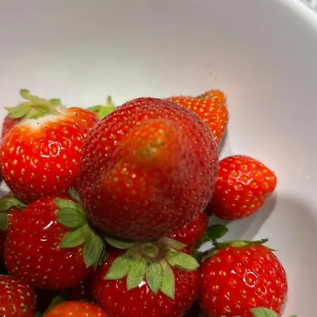 Bed & Breakfast Cascina Giantino Sughero - G A Y - M E N - O N L Y (adults Only) Montegrosso dʼAsti